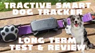 Tractive 2025 Smart Dog Tracker Amazon Test & Review