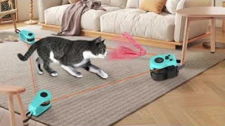 Cat Running Wheel Interactive Cat Toy