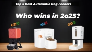 ✅Top 5 best automatic dog feeders [Watch This Before You Make a Choice!]