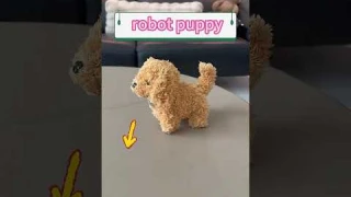 Nico robot dog #us #usa🇺🇸