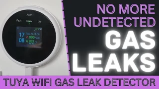 Tuya Smart Gas Leak Detector REVIEW