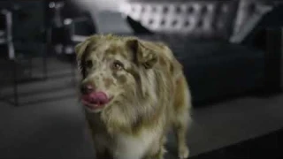 Rowenta robotski sesalnik X-Plorer Serie 75 Total Care RR7687WH