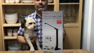 Tenergy 11W Dimmable Desk Lamp with USB Charging Port