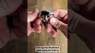 The BEST budget key organizer for your EDC is The KeySmart Mini!