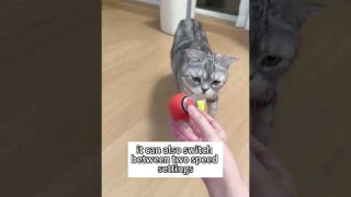 Speedy Tail 2.0 – The Ultimate Interactive Cat Toy Your Feline Will Love!