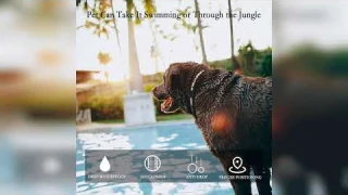 Review: Waterproof Dog Collar Holder for Tile Mate 2024/ Mate 2022 Tracker, Anti Lost Soft Sil...