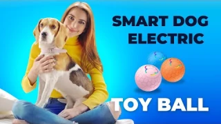 Smart Interactive Dog Toy Ball Review | Endless Fun for Dogs | Biting-Resistant & Waterproof!