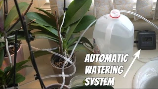 RAINPOINT Automatic Watering System for Potted Plants Review