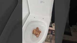 Siphonic one piece toilet flushing test  #sanitaryware #toilet #bathroom #toiletfactory