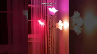 Setting up my flower lamp! #unboxing #lighting #homedecor #floorlamp #flowerlamp #cozylights