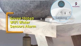 Govee H5040+H5054 Water Detector with WiFi Gateway User Manual | How to Set Up and Use