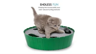 Pawaboo Teasing Hide and Seek Electronic Mouse Hunt Interactive Cat Toy