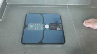 Smart Scale to Track BMI Body Fat 14 Other Metrics | ABLEGRID Review