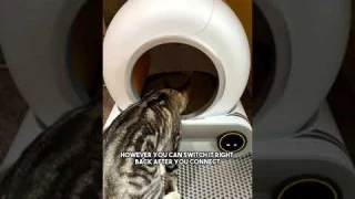 Robot Self- Automatic Self- Cleaning Cat Litter Box | cat litter box | best automatic cat litter box