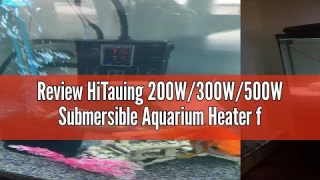 Review HiTauing 200W/300W/500W Submersible Aquarium Heater for 20-130 Gallon - Upgraded Double Quart