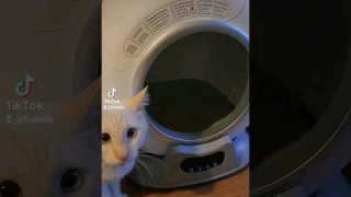 Purrtek Petcove Cat Self Cleaning Litter box.