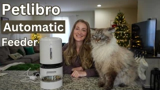 Petlibro Granary Automatic Wifi Pet Feeder Review