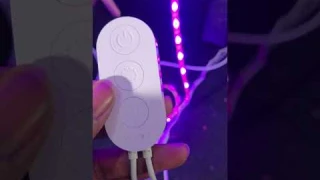 Govee RGBIC Pro: The Ultimate Guide to LED Glow