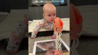 Introducing the Dancing Octopus Toy – The Fun and Entertaining Toy for All Ages!