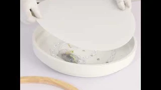 Morandi Nordic LED Round Flush Mount Ceiling Light
