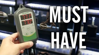 Aquarium Temperature Controllers - A Fish Keeper MUST HAVE