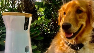 Furbo dog camera unboxing, review and first use (#211)