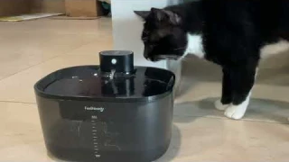 Review of the FeelNeedy Wireless Cat Water Fountain for Pets