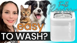 Petkit Eversweet Solo Wireless Water Fountain | Best & Safest for Pets? #petsupplies