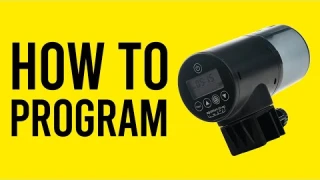 Leaving for Vacation? Use an Auto Feeder for Fish Food