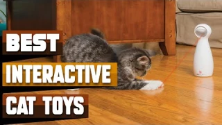 Best Interactive Cat Toy In 2026 - Top 10 Interactive Cat Toys Review