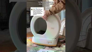 Meowant Automatic Litter Box Initial Review #cat #kitten #litterbox #review
