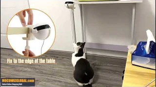 Automatic Lifting Motion Cat Toy