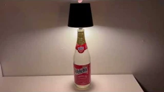 Mebaraul Wireless Bottle Lamp Shade,Rechargeable LED Portable Cordless Table Lamp Review