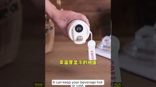 Smart thermos bottle with LED temperature display, 316 stainless steel. Portable vacuum flask.