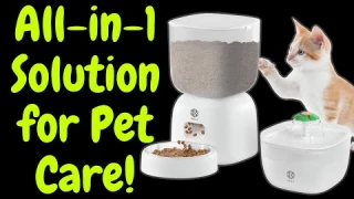 Automatic Cat Feeder & Water Fountain Set Review: Easy Pet Care!