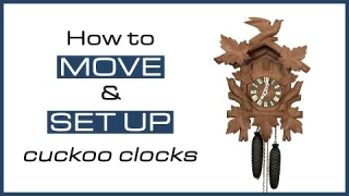 How to move and set up cuckoo clocks