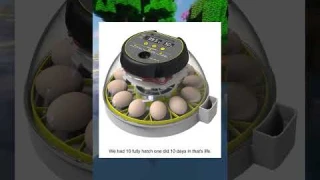 KEBONNIXS 12 Egg Incubator with Humidity Display, Egg Candler, Automatic Egg Turner, for Hatching Ch