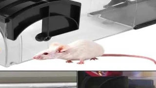 Safe Firm Humane Reusable Plastic Rodents Trap Household Mouse Catcher Smart Self-locking Mousetrap