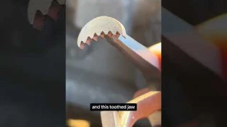 Weird Pliers! Lisle 37980 60 Degree Electrical Disconnect Pliers #tools #lisle #toolreviews