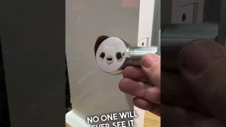 The Smart Lock for People Who HATE the Look of Smart Locks! - Level Lock Bolt