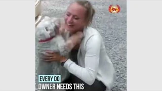 Mini Pet GPS Tracker - Mini GPS tracking finder device auto car pets kids motorcycle tracker track