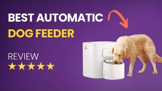 Best Automatic Dog Feeder in 2026