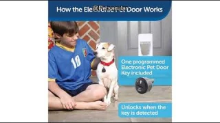 PetSafe Electronic Smart Pet Door Review: Is This Collar-Activated Door Worth It?