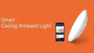 Lumary Smart Ceiling Light With Ambient Light 24W