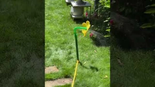 Crazy Dancing Daisy Flower Sprinkler - The Ultimate Way To Water Your Garden