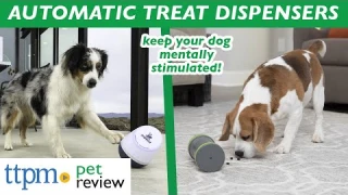 Automatic Treat Dispensers for Dogs Review | Treat Toys For Dogs Of All Sizes | (We Tested Them All)