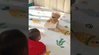 Magical Peek a Boo Bear Plush Toy Revealed! Interactive Fun for All Ages!
