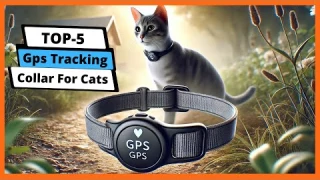 ✅ Best gps tracking collar for cats: Gps tracking collar for cats (Buying Guide)