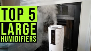 Top 5 Large Humidifiers Tested