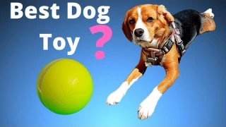Cheerble Wicked Ball Automatic Pet Toy | Smart Interactive Pet Toy Ball - Watch Before You Buy